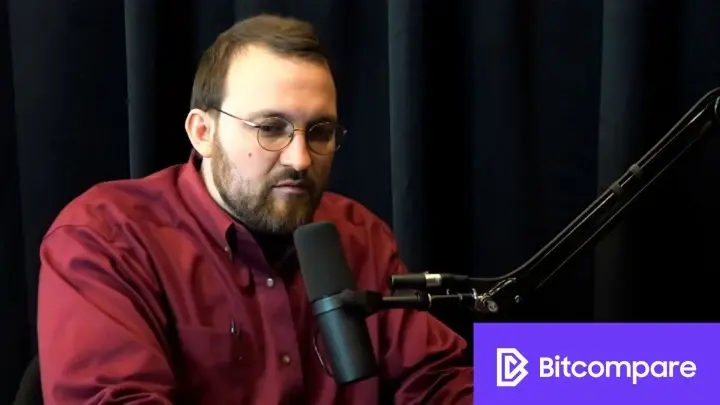 Cardano founder addresses criticism surrounding contingent staking